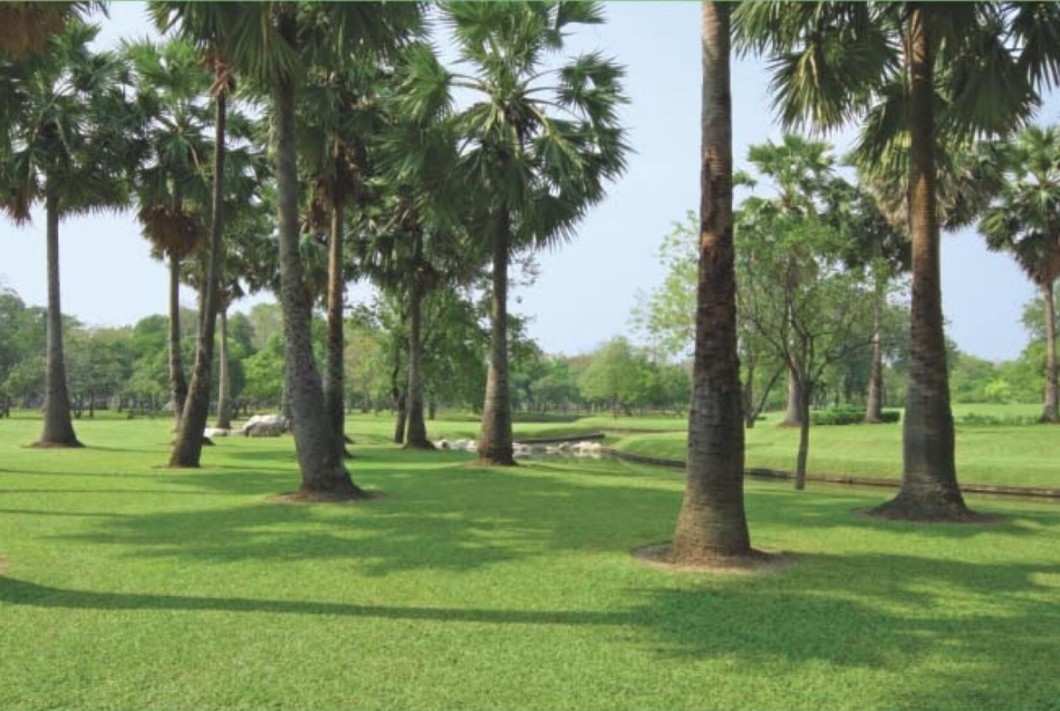 Amrapali Verona Heights
