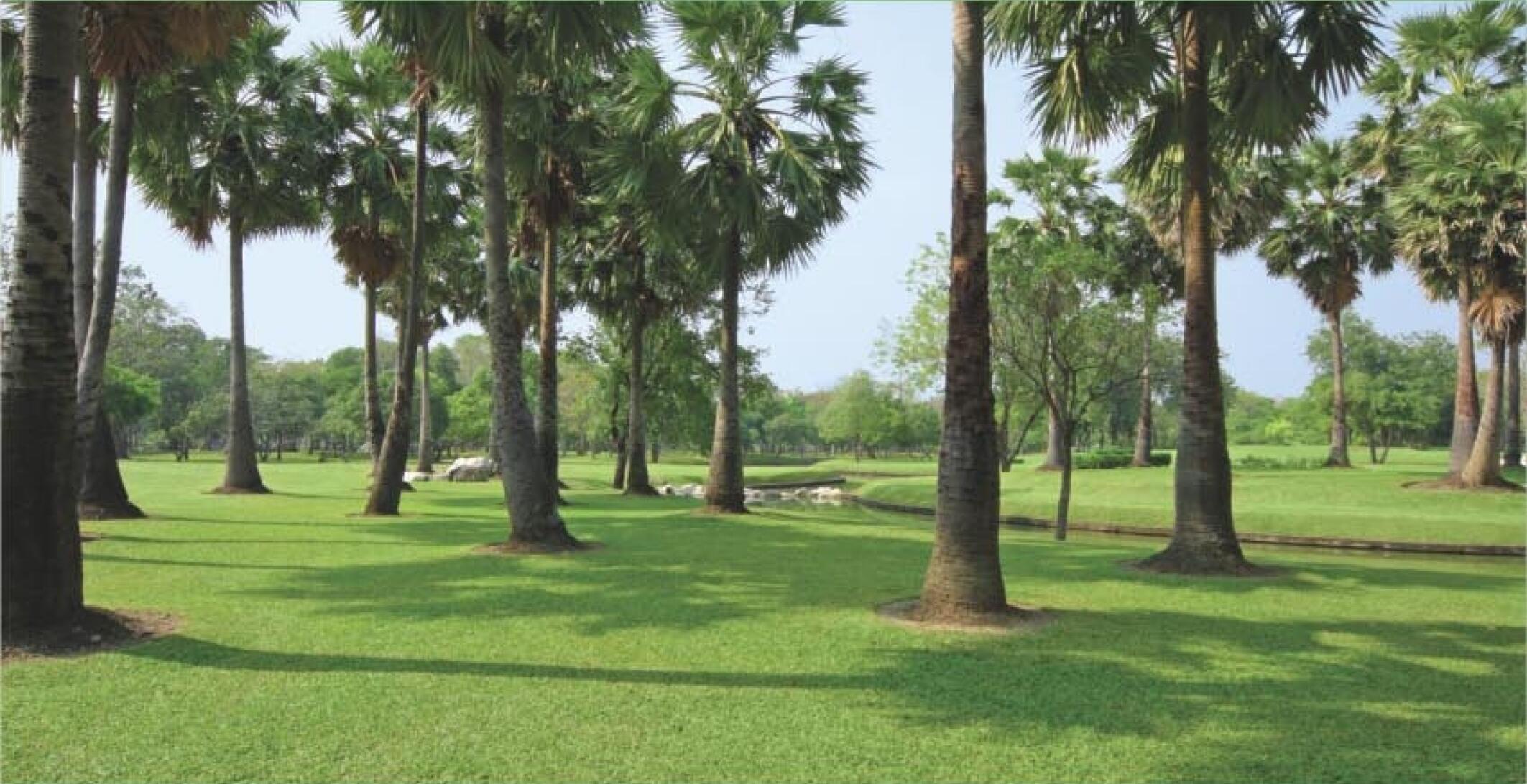 Amrapali Verona Heights